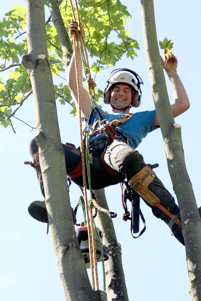 Hamish Lodge - Cut Above Tree Management